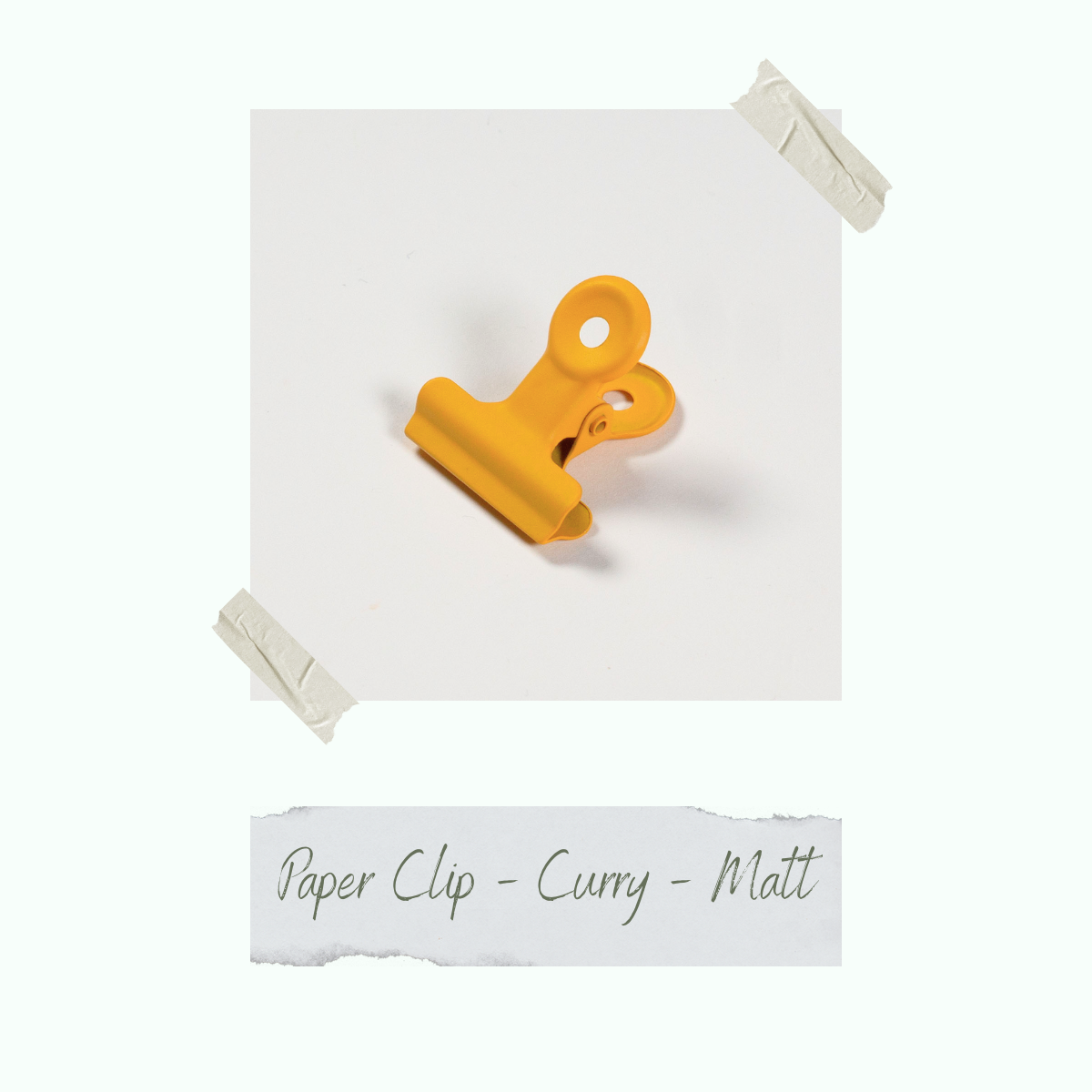 Paper Clip - Curry