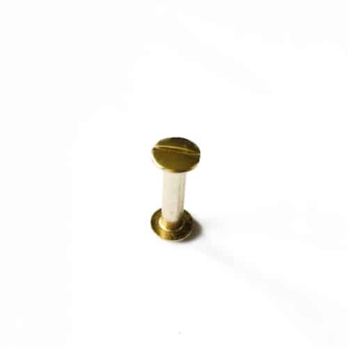 Buchschraube - 20mm - Gold