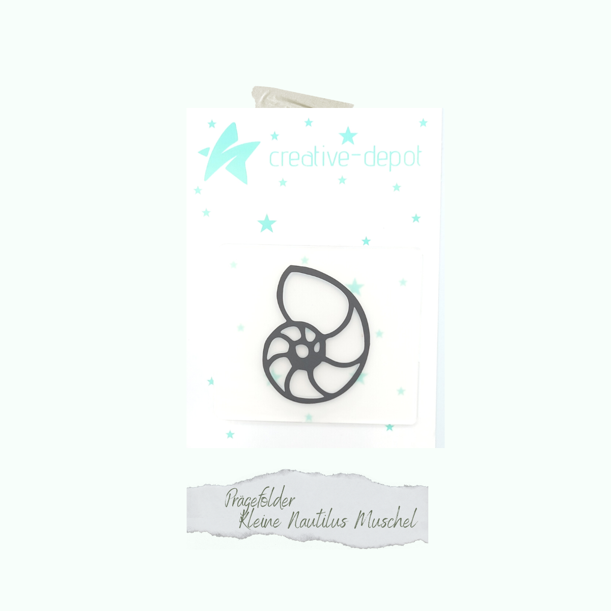 Embossing folder - Small nautilus shell - 6 x 7 cm